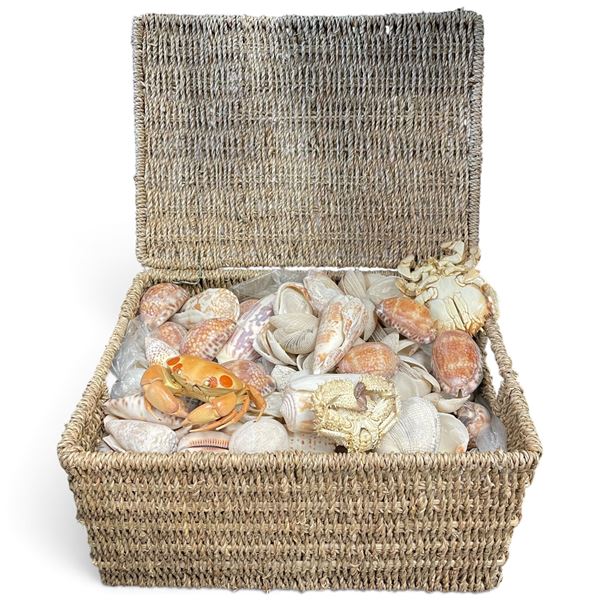 Large Wicker Basket Full of Seashells - Basket is 14" x 10" x 7" deep