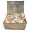 Image 1 : Large Wicker Basket Full of Seashells - Basket is 14" x 10" x 7" deep