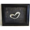 Image 1 : SHADOWBOX FRAMED SHARK TEETH