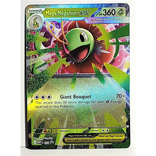 6) MEGA MEGANIUM EX #34 HALOFOIL