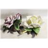 Image 1 : 2 PORCELAIN ROSES