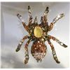 Image 1 : NEW CAT EYE SPIDER FULL ENCRUSTED