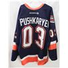 Image 1 : MENS 56 ISLANDERS "PUSHKARYEV" JERSEY