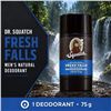 Image 1 : DR. SQUATCH FRESH FALLS MEN'S DEODORANT 75G