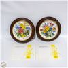 Image 1 : 2 VINTAGE HUTSCHENREUTHER PLATES FRUBLINGSMORGEN