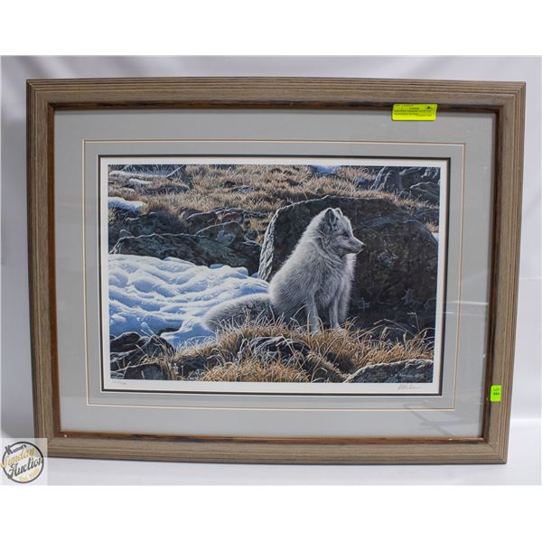 NORTHERN MORNING ARTIC FOX 582/950 PRINT BY RON-