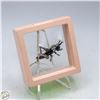 Image 1 : NEW GRASSHOPPER BROOCH SILVER TONE