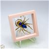 Image 1 : NEW SPIDER BROOCH GOLD TONE AND BLUE