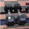 Image 1 : PAIR OF 10LBS DUMBELLS