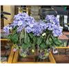 Image 1 : 2 ARTIFICIAL HYDRANGEA PLANTS