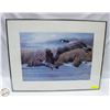 Image 1 : MARLA WILSON LTD EDITION SIGNED PRINT FRAMED
