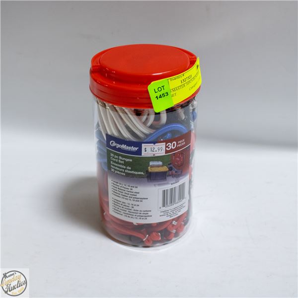 CARGO MASTER 30PCS BUNGEEE CORD SET