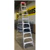 Image 1 : GLAM 10FT ALUMINUM LADDER
