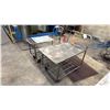 Image 3 : 2 METAL SHOP CARTS