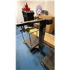 Image 2 : ZHUNSHENG SCALES PORTABLE PLATFORM SCALE WITH COUNTER WEIGHTS