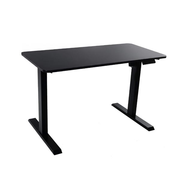 BNIB Electric Adjustable Table