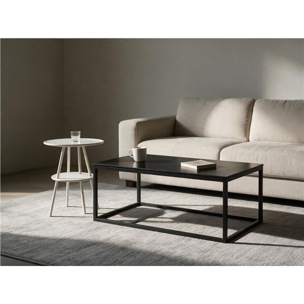 Modern Black Rectangular Coffee Table w/Round Glass Top White End Table