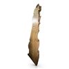 Image 1 : Large Live Edge Slab, Approx. 94" x 31"