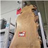 Image 2 : Large Live Edge Slab, Approx. 94" x 31"