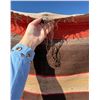Image 5 : Antique Banded Saltillo Serape Blanket Rug