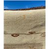 Image 4 : Unusual Navajo Indian Rug