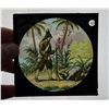 Image 9 : Collection of Magic Lantern Slides