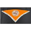 Image 1 : Pendleton Round Up Fan Em Cowboy Silk Rodeo Scarf