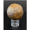 Image 2 : Bronze Track & Field Shotput