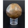 Image 3 : Bronze Track & Field Shotput