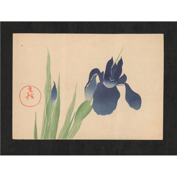 Ogata Korin Iris Japanese Woodblock Print