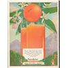 Image 2 : Pasadena California Tournament of Roses Program