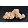 Image 1 : Gypsum Barite Desert Rose Mineral Specimen