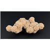 Image 2 : Gypsum Barite Desert Rose Mineral Specimen