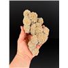 Image 3 : Gypsum Barite Desert Rose Mineral Specimen