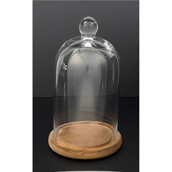 Glass Dome Display Cloche Bell Jar