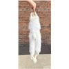 Image 2 : Arctic Fox Fur Pelt Taxidermy