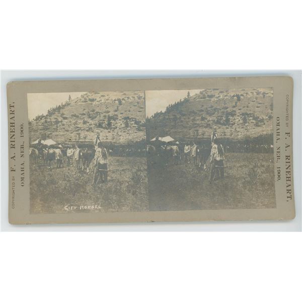 F.A. Rinehart Gift Horses Indian Stereoview