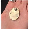 Image 2 : Navajo Sterling Silver Walnut Turquoise Pendant