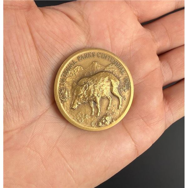 Big Bend National Park Bronze Medal