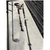 Image 2 : 3 ADJUSTABLE HIKING POLES AND GOLF CLUB
