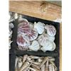 Image 3 : WOODEN DECORATIVE TRAY WITH ASSORTED SEASHELLS