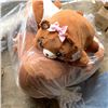 Image 1 : 5 NEW PLUSH BEARS