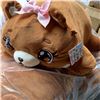 Image 2 : 5 NEW PLUSH BEARS