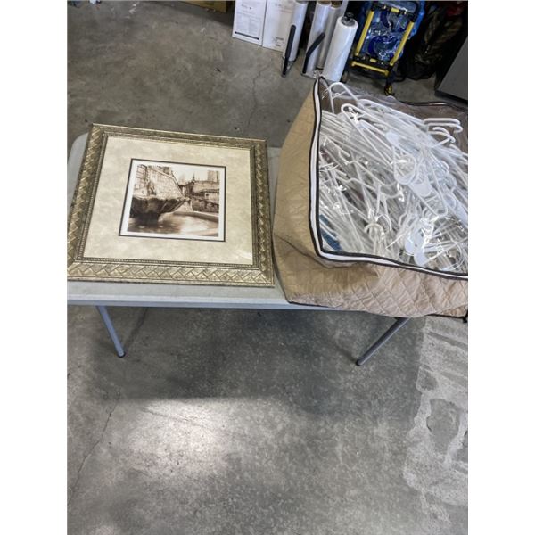 BAG OF HANGERS AND FRAMED PRINT