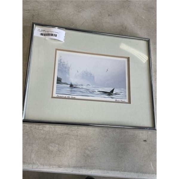 "DOMAIN OF THE ORCA" SIGNED FRAMED PRINT BY BRUCE MUIR