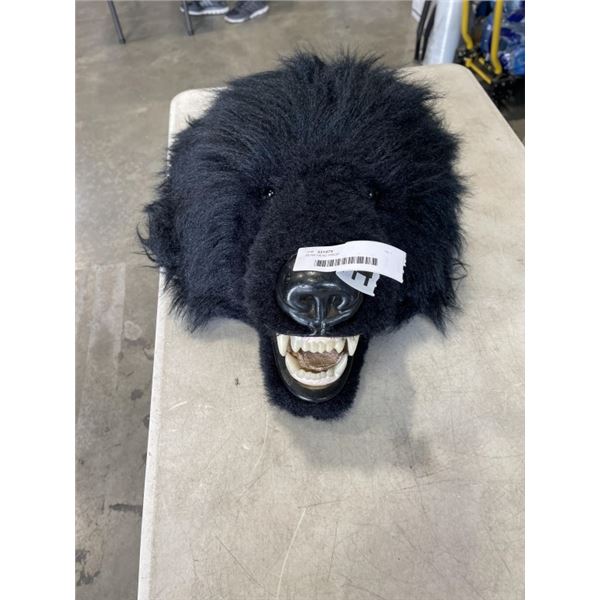 BEAR HEAD PROP