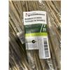 Image 3 : TRAY OF HOLLAND GREENHOUSE BAMBOO STAKES