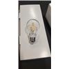 Image 1 : 24 LED LIGHT BULBS