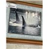 Image 2 : SIGNED ORCA PRINT