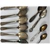 Image 3 : Collectors Spoons